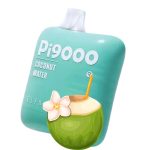 ElfBar Pi9000 Puffs Disposable Vape Coconut Water in UAE