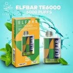 ElfBar TE6000 Puffs Disposable Cool Mint in UAE