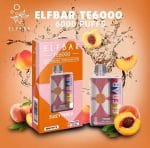 ElfBar TE6000 Puffs Disposable Juicy Peach in Dubai