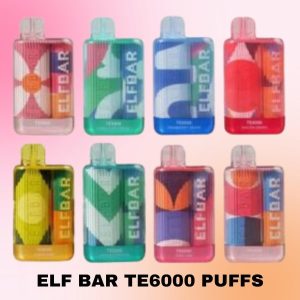 Elfbar Te6000 Puffs Disposable in UAE