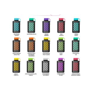 Best Vozol Gear 10000 Disposable in Dubai UAE