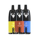 Kalyan 12000 Puffs Disposable Vape in Dubai
