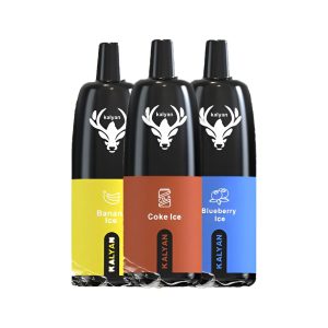 Kalyan 12000 Puffs Disposable Vape in Dubai