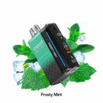 Oxbar Magic Maze 2 30000 Puffs Disposable Vape Frosty Mint in UAE