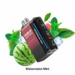 Oxbar Magic Maze 2 30000 Puffs Disposable Vape Watermelon Mint in UAE