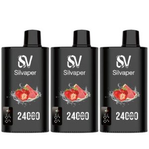 Silvaper 24000 Puffs Disposable Vape in UAE