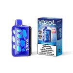 VOZOL RAVE 40000 Puffs Disposable Vape Blueberry Ice in UAE