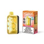 VOZOL RAVE 40000 Puffs Disposable Vape Mango Peach in UAE