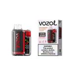 VOZOL Vista 20000 Puffs Disposable Vape Strawberry Raspberry Cherry in UAE