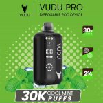 VUDU PRO 30000 Puffs Cool Mint in UAE