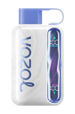 Vozol Star 40000 Puffs Disposable Vape Blue Razz Ice in UAE
