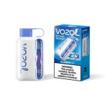 Vozol Star 40000 Puffs Disposable Vape Blueberry Ice in UAE