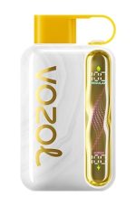 Vozol Star 40000 Puffs Disposable Vape Mango Ice in UAE
