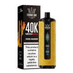 Al Fakhar Mega Max 40k Puffs Disposable Vape Cool Mango in UAE
