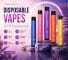 Disposable Vapes Category VapeDubaiCity